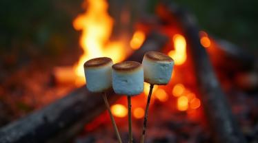 Gezellige kampvuurscene met geroosterde marshmallows op stokken