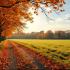 Herfstlandschap in België