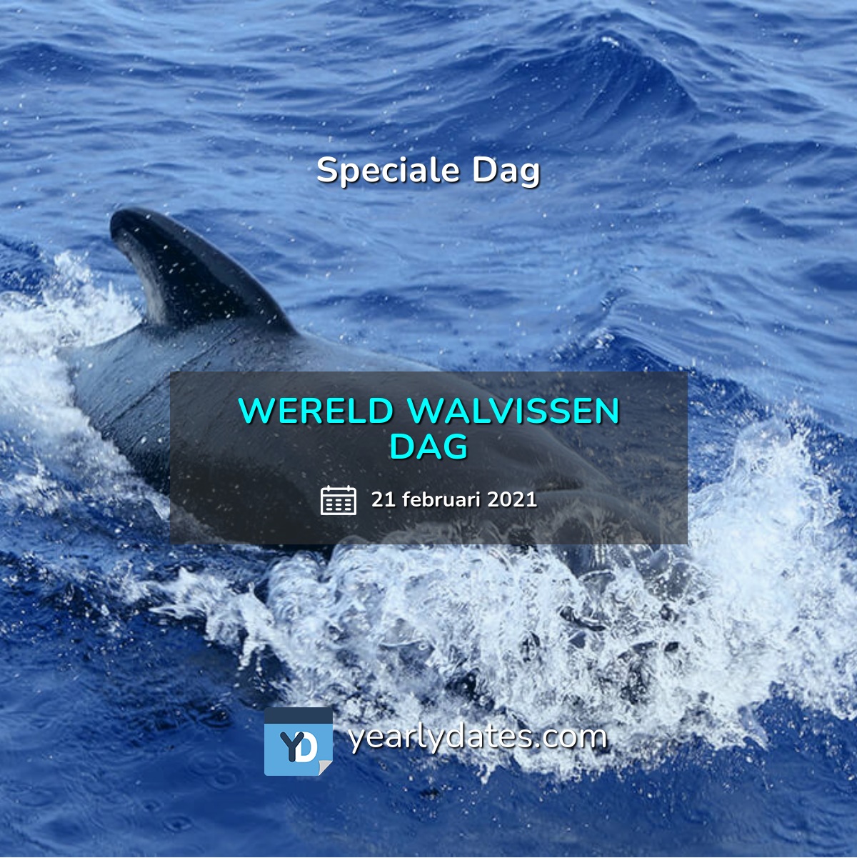 Wereld Walvissen Dag of World Whale Day